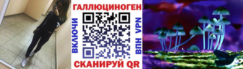 Купить  Лебедянь  Галлюциногенные грибы мицелий 